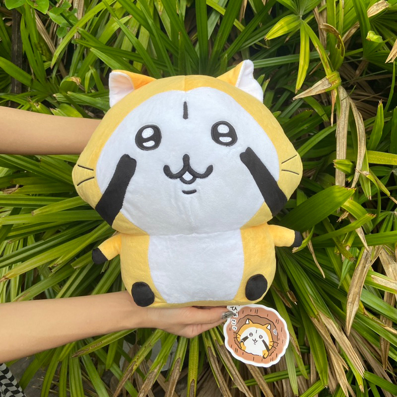 Rascaral Nagano Yurukawa Rascal Japanese Doll. Doll Cleat Box | Shopee ...