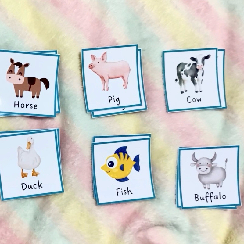 Memory Training Flash Card 12 Types 24 Sheets Latest Model (Handmade ...