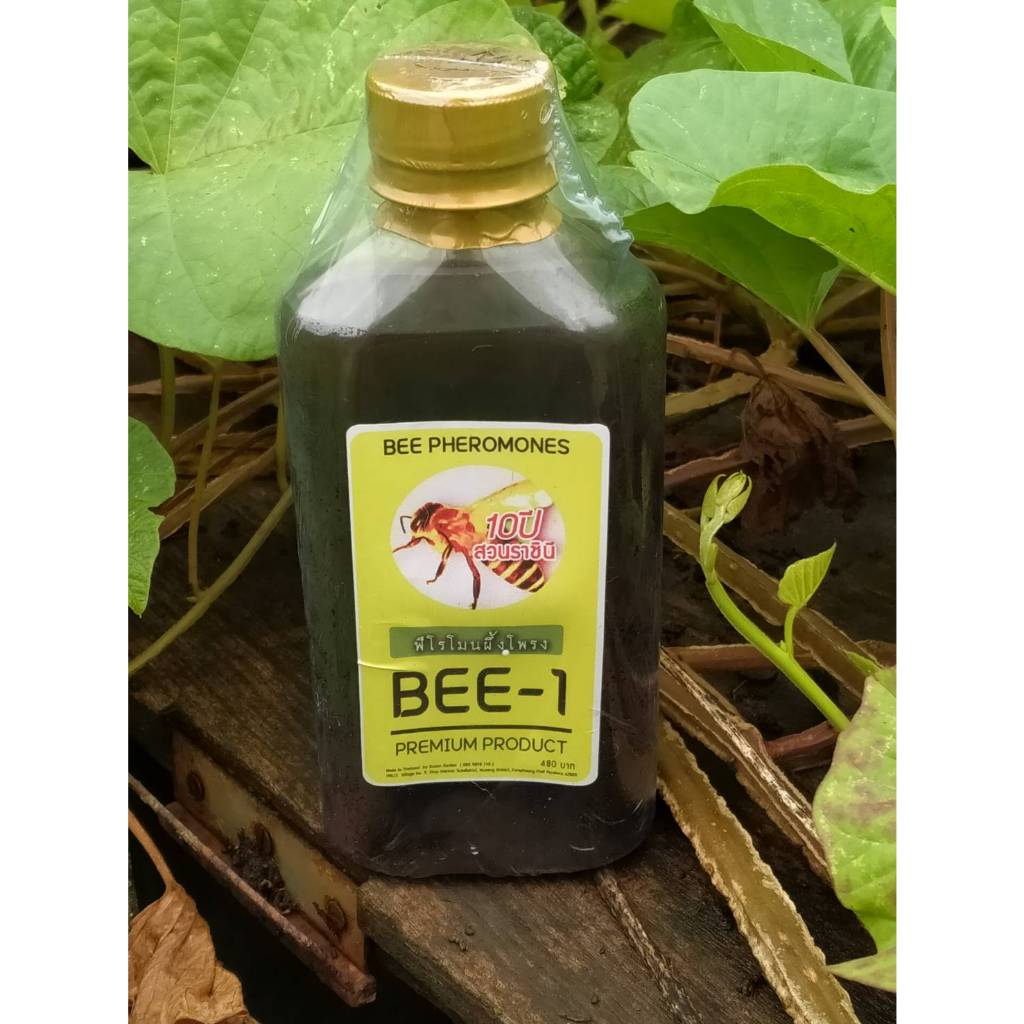 (Promotion) Pheromone Lure Bee Phong For Beekeeping Box Size 250 Cc ...