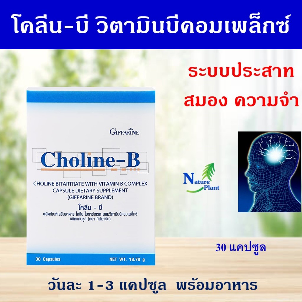 Choline With Vitamin B Complex Capsules Giffarine Brand | Shopee ...