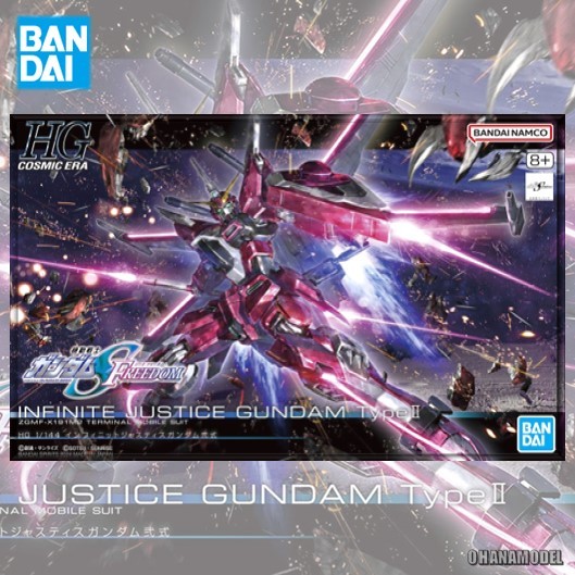 Bandai HG 1/144 INFINITE JUSTICE GUNDAM TYPE II | Shopee Philippines