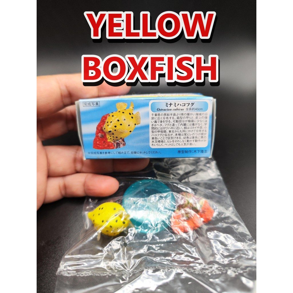 Figure Miniature Animals Pufferfish YELLOW Box With Black Dots Kaiyodo ...