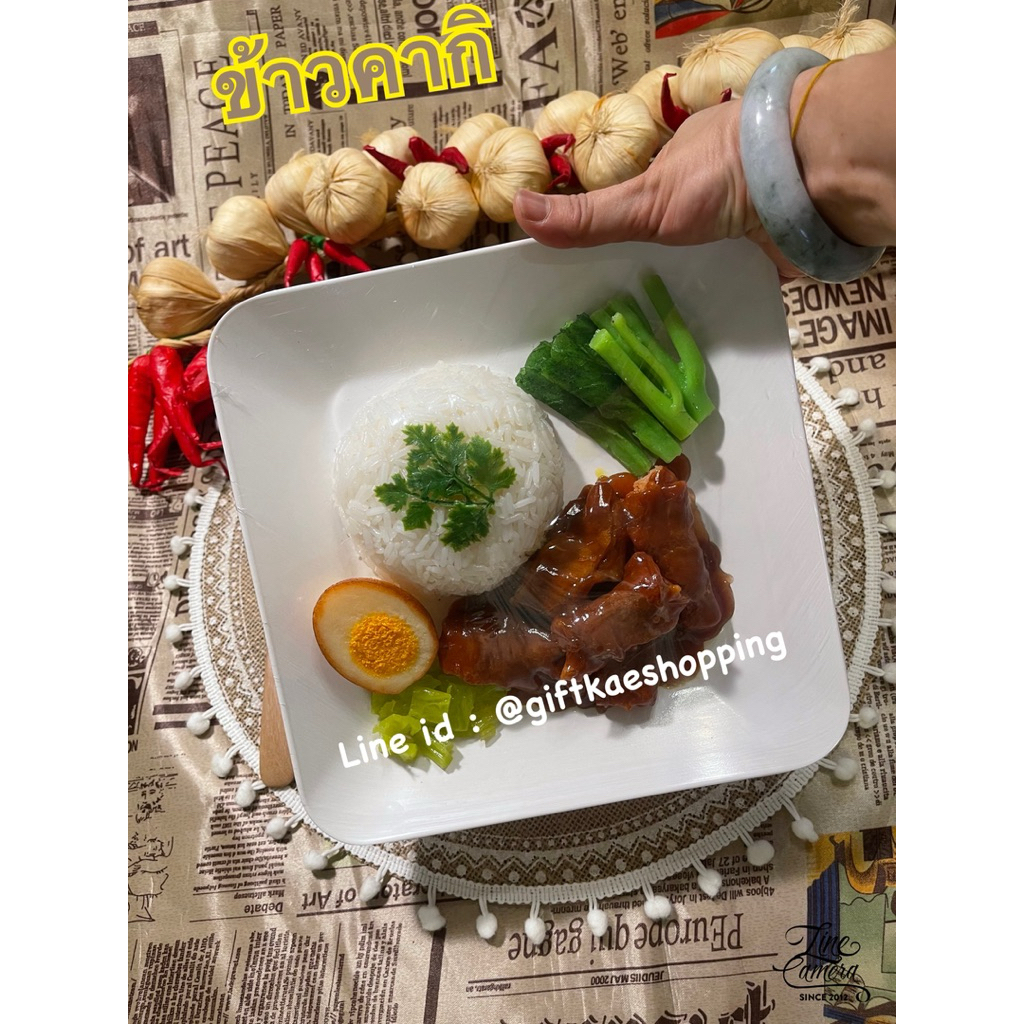 Food Model Kaki Rice Pork Leg Fake Thai | Shopee Philippines