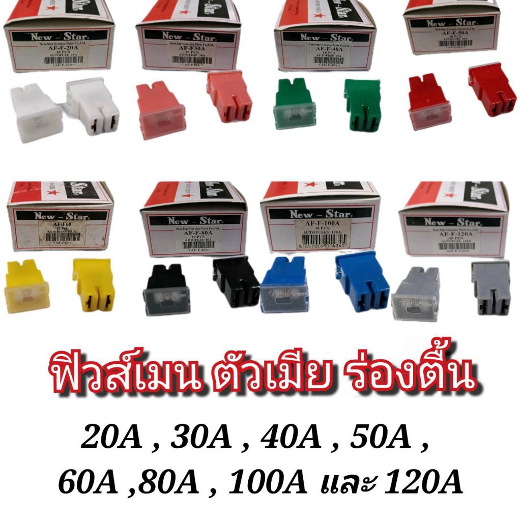 TOYOTA Female Fuse Shallow Groove 23x32 mm. Available In 20A 30A 40A ...