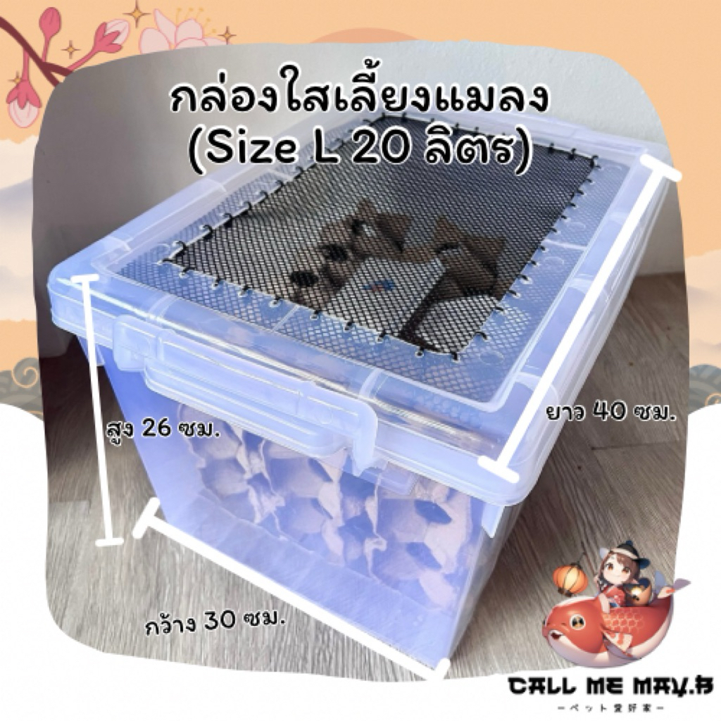 Plastic Insect Box Size L | Clear Thick 20 Liters | Shopee Philippines