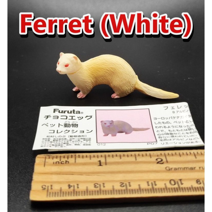 Cute Tiny Animal Ferret White (White) Kaiyodo Choco Egg Mini Figure ...