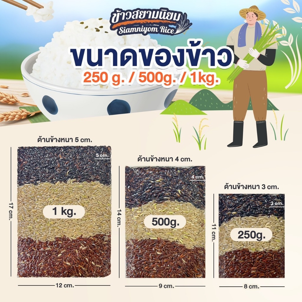 Shop sack of rice for Sale on Shopee Philippines