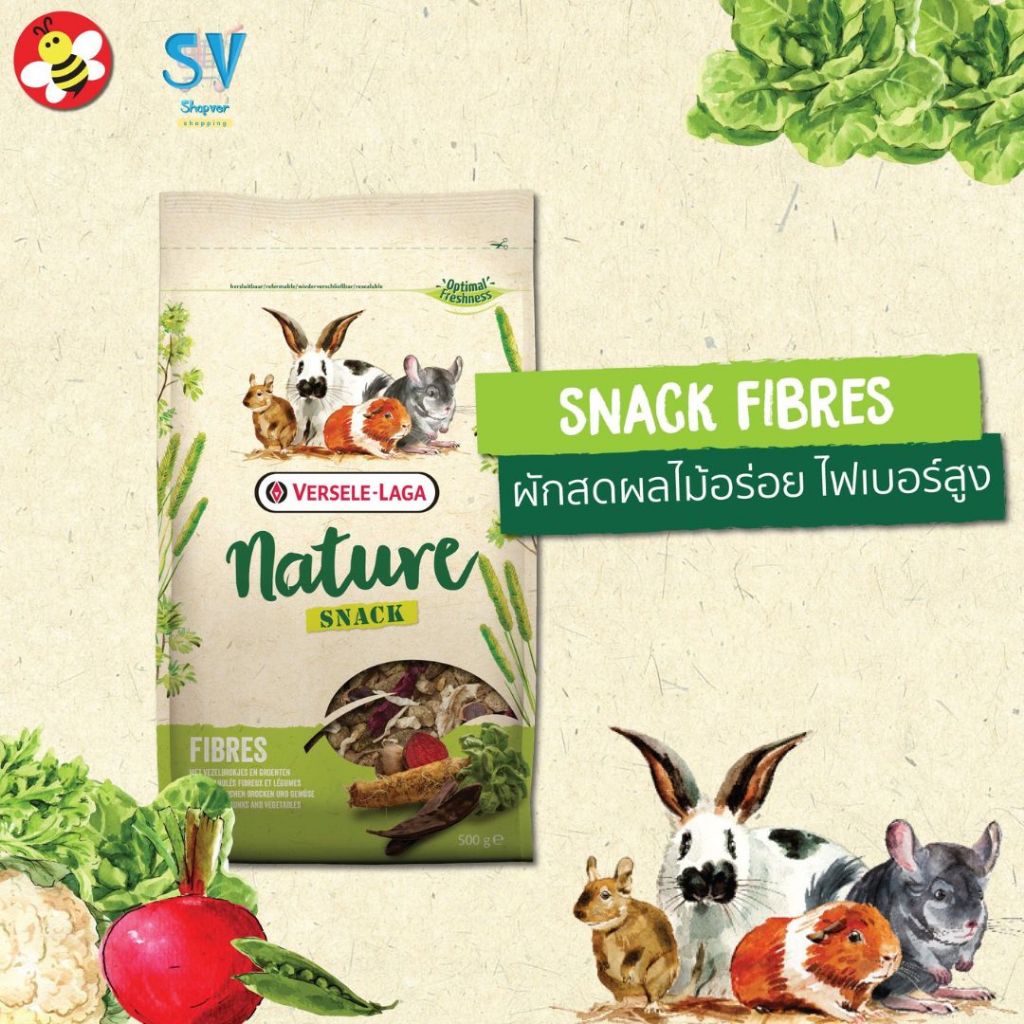 Nature Snack Fibres 500g.snacknature Fibers (Nature's Snacks Enhancer ...