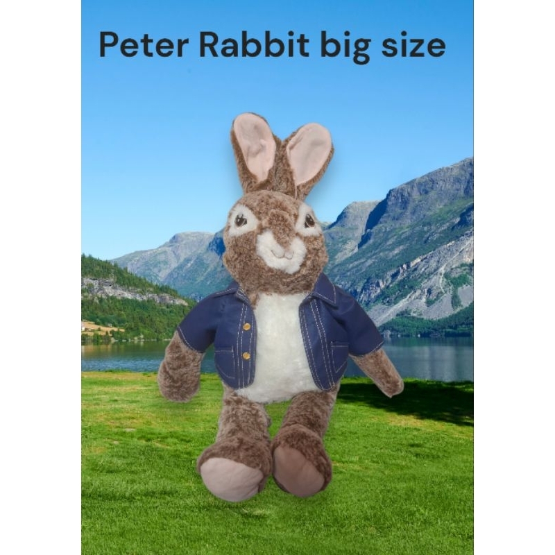 Peter Rabbit Large Size | Shopee Philippines
