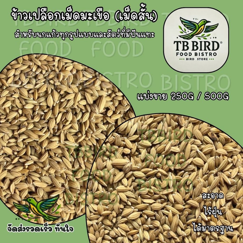 Eggplant Shell Rice Short Bark All Species Of Parrot Food Hamster ...