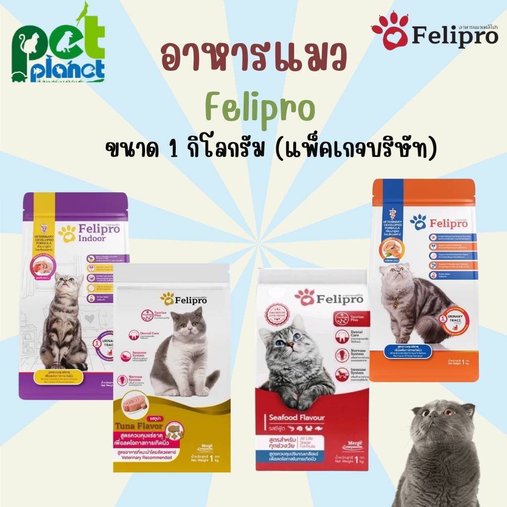Felipro Cat Food For All Ages To Reduce Kidney Stones Size 1 Kg ...