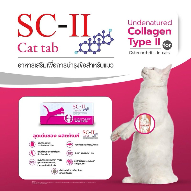 SCII Cat (Exp.11/2025) Collagen Type To Joint Supplement (Box Of 30