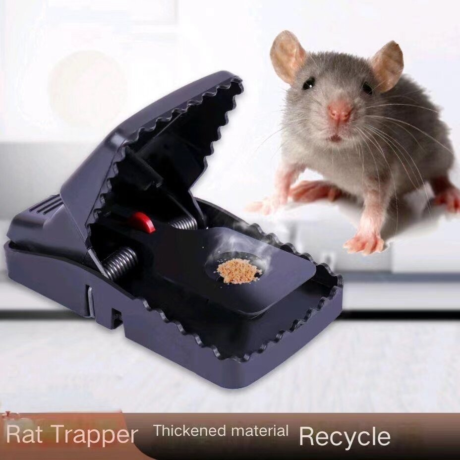 Mousetrap Spring-Type Device Does Not Use Chemicals And Have To Touch ...