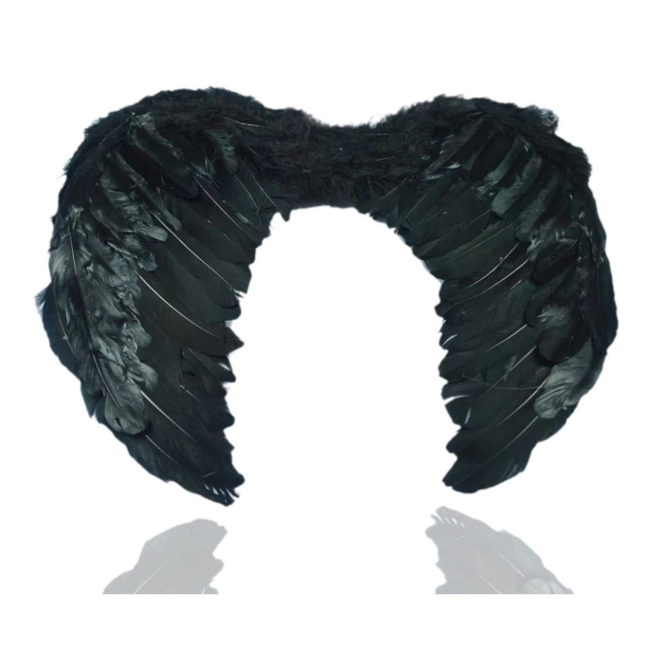 Wings Angel Feather Demon Malaysian Devil Feathers Fairy Maleficent ...