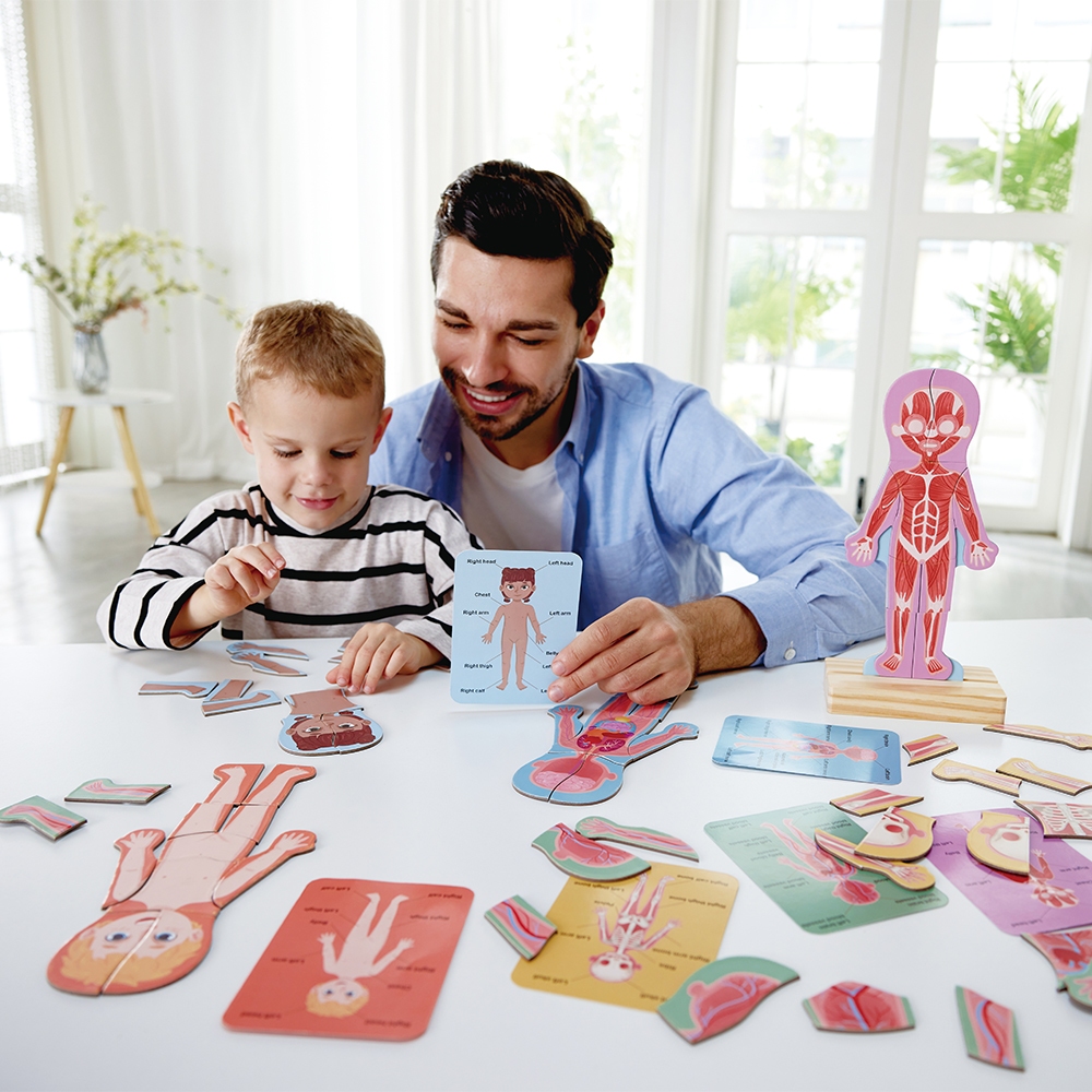 Hape-Human Body Magnetic Puzzle | Shopee Philippines