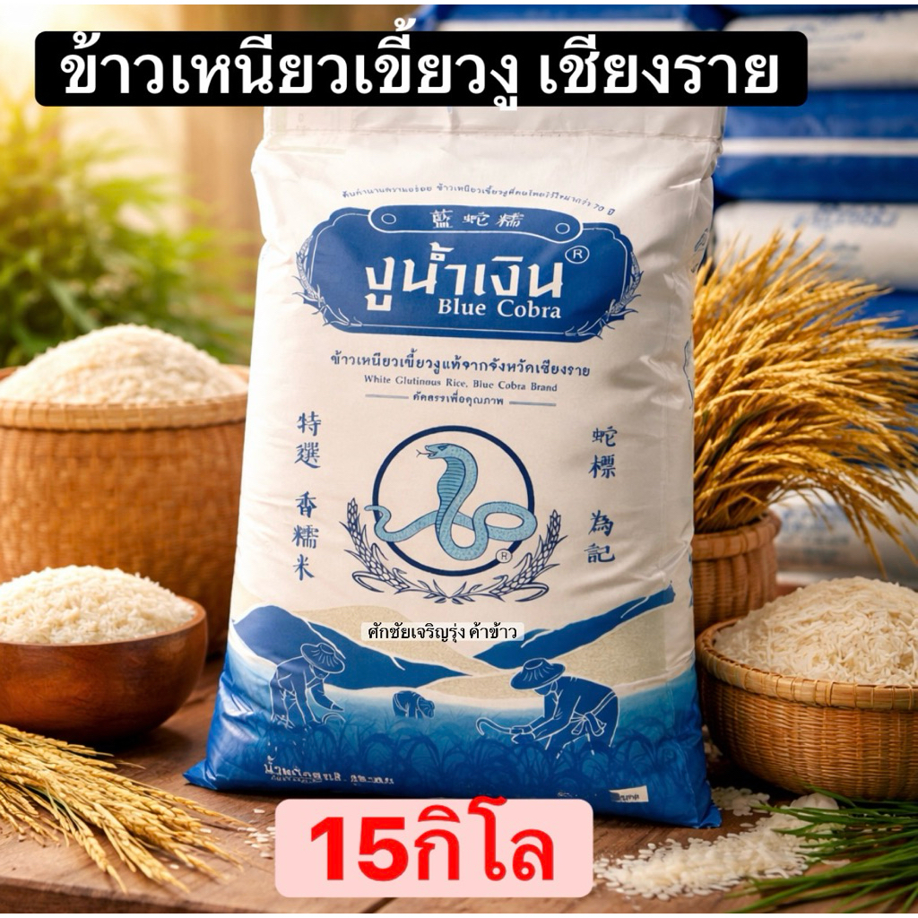 mango sticky rice - Best Prices and Online Promos - Jun 2026 | Shopee ...