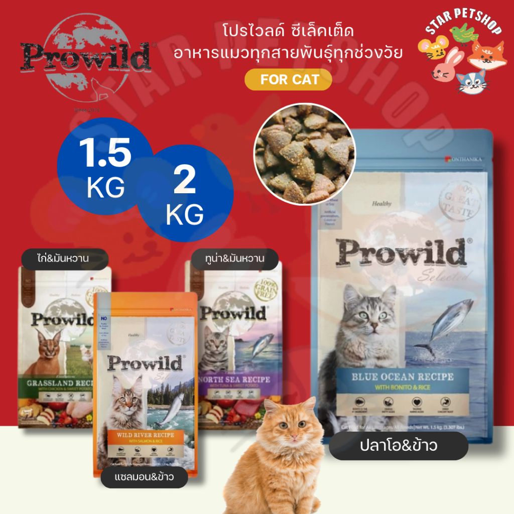 Prowild Holistic Grade Cat Food Suitable For All Breeds And Ages Size 1 ...