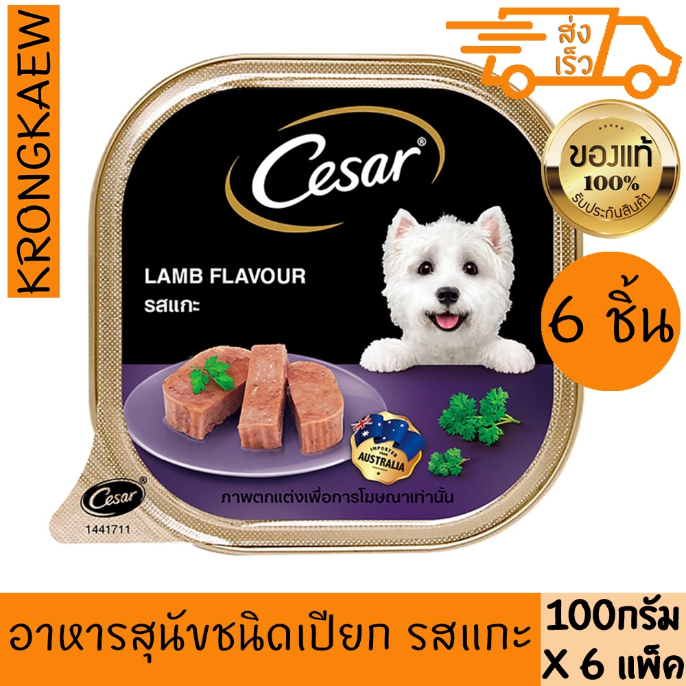 Caesar Multipack Wet Dog Food LAMB Flavor 100 g X 6 Packs CESAR 100 ...