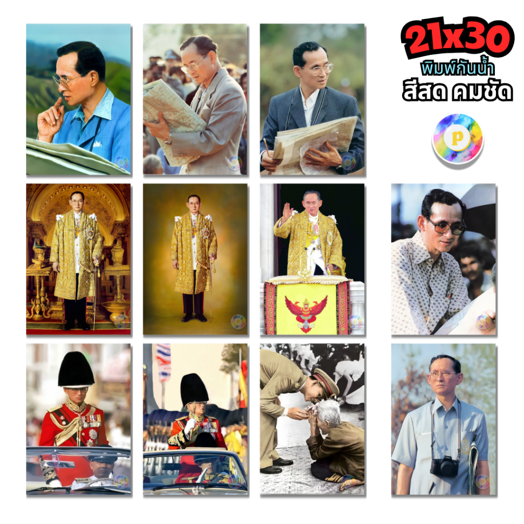 Collection Of Auspicious Images Of The Portrait Of His Majesty King ...
