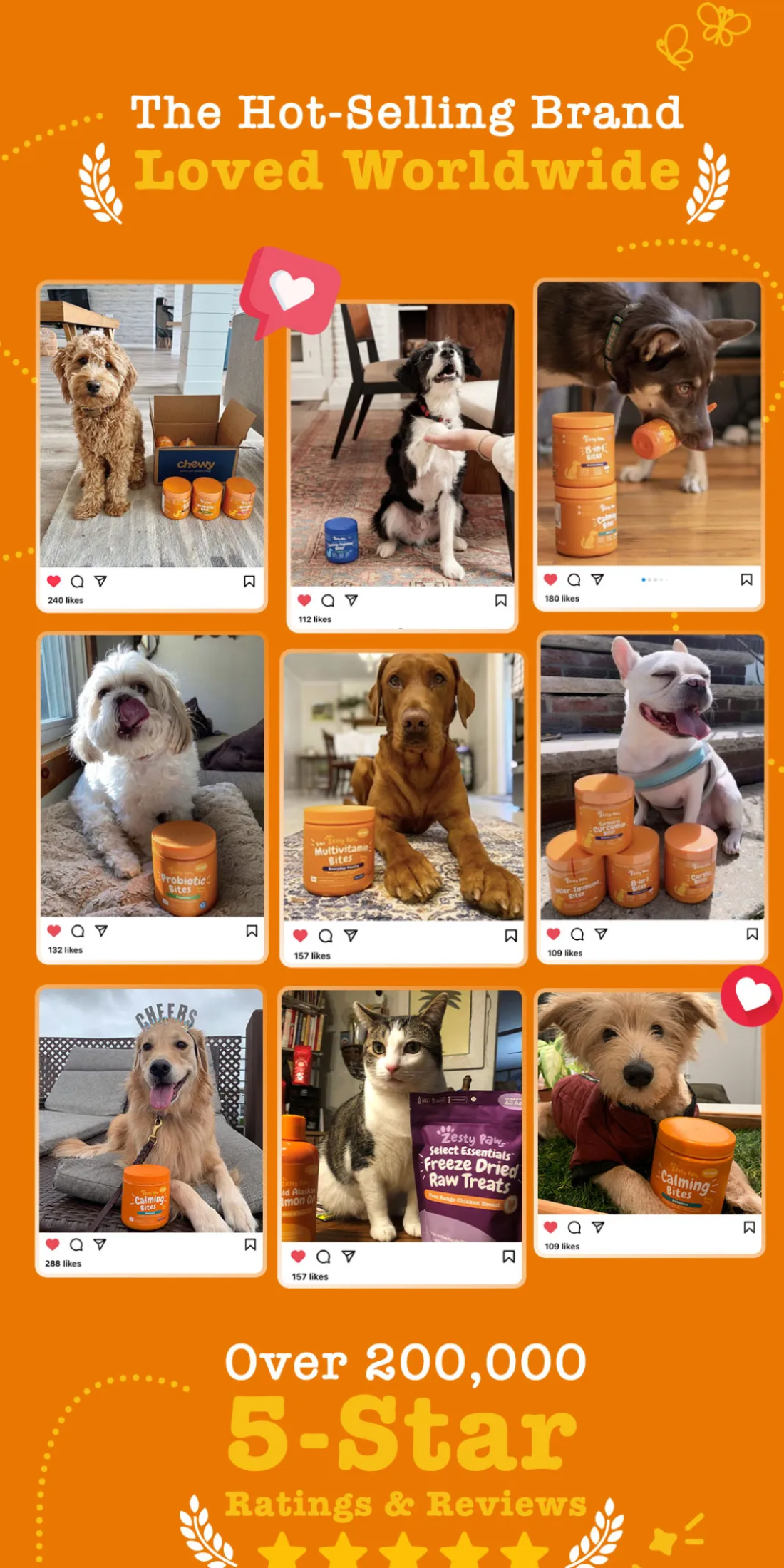 Zesty Paws 8in1 Multivitamin Bites for Dogs Overall Support [Chicken