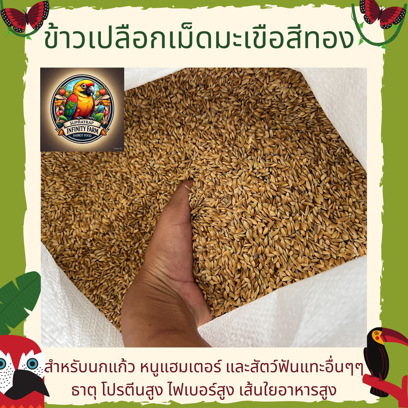 Eggplant Shell Rice Short Bark All Species Of Parrot Food Hamster ...