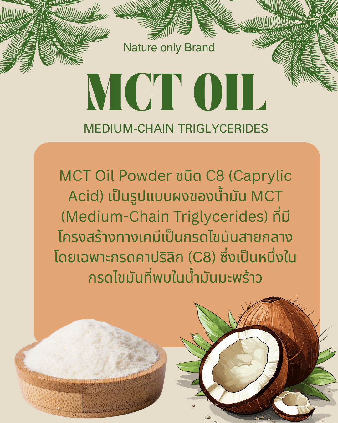 MCT OIL POWDER 500 Gm For Fast Energy Direct Absorption Increases Keto ...