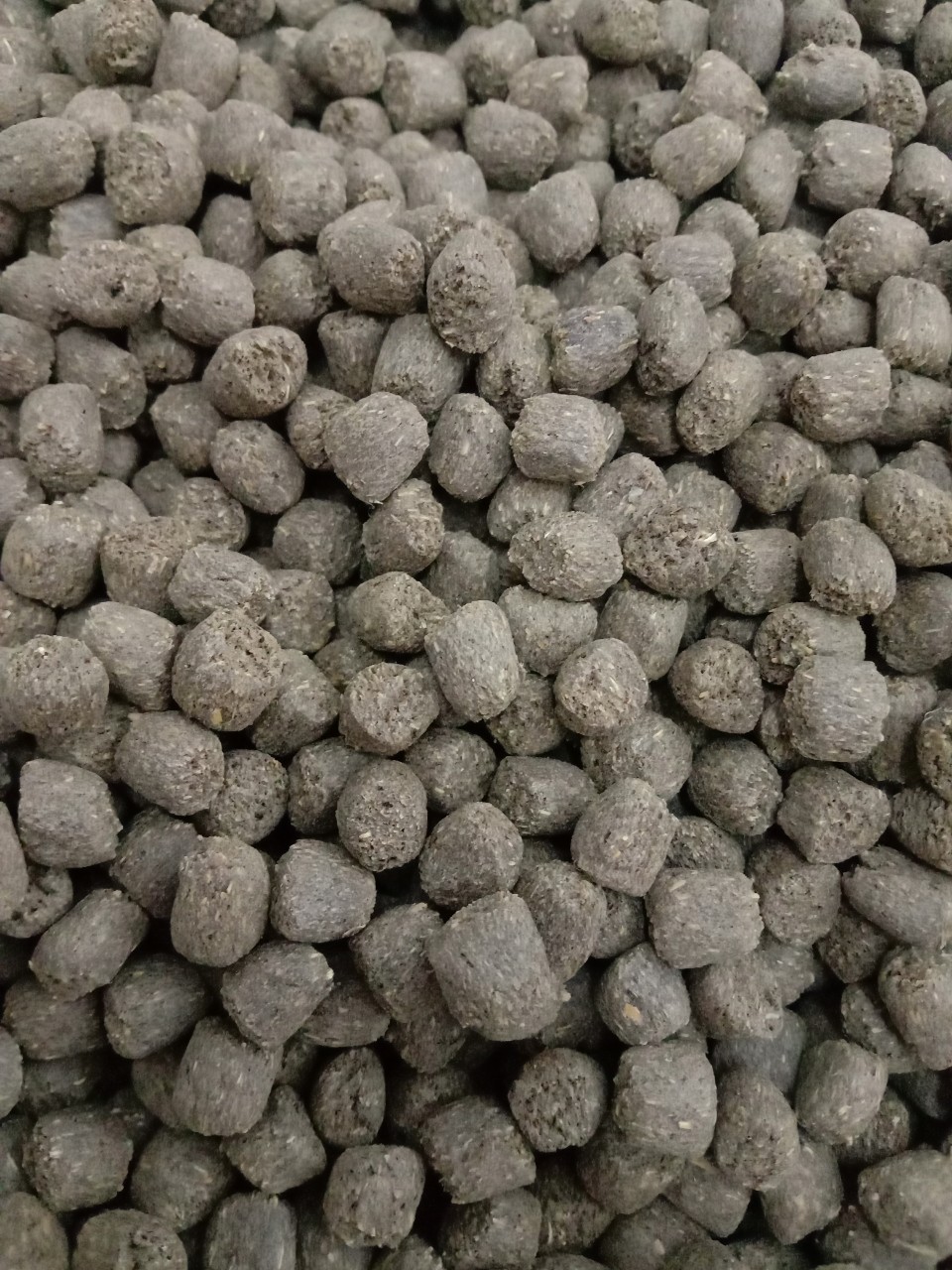 Tortoise Food T-balance Lot New Formula High Fiber With Polybiotics ...