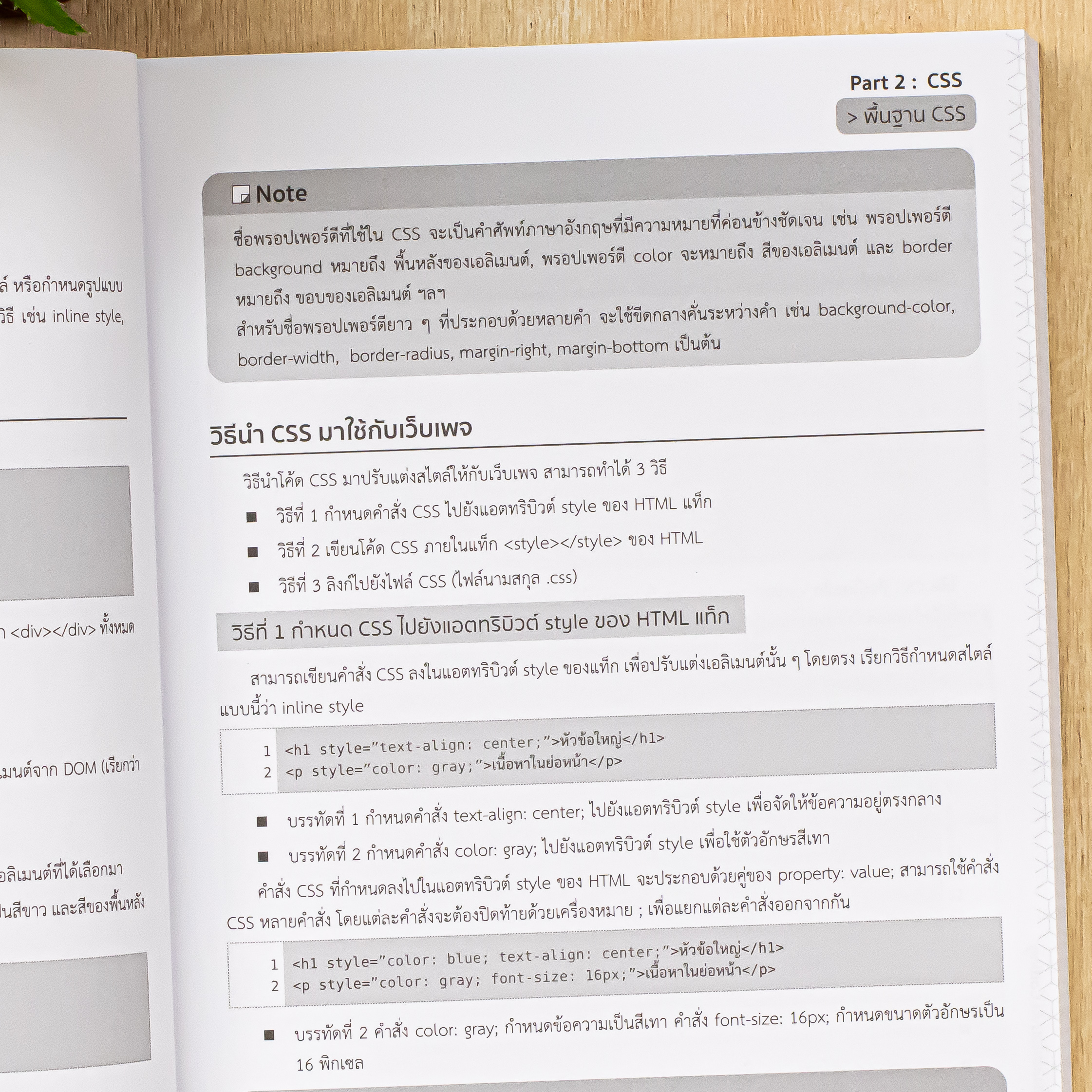 Book: Create A Web Without Knowing Anything With AI Coding + HTML CSS ...