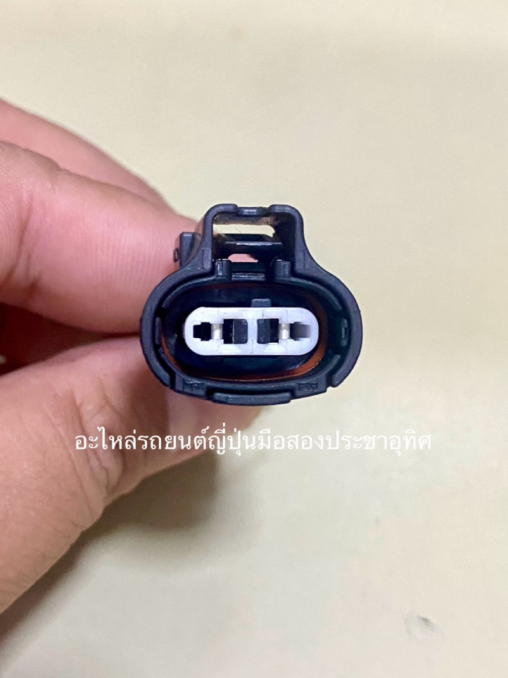 2-Pin Car Plug With Second-Hand Japanese Power Cord (Code P250 ...