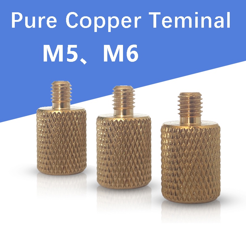 2pcs M5 M6 terminal brass for Lithium battery case battery plastic ...