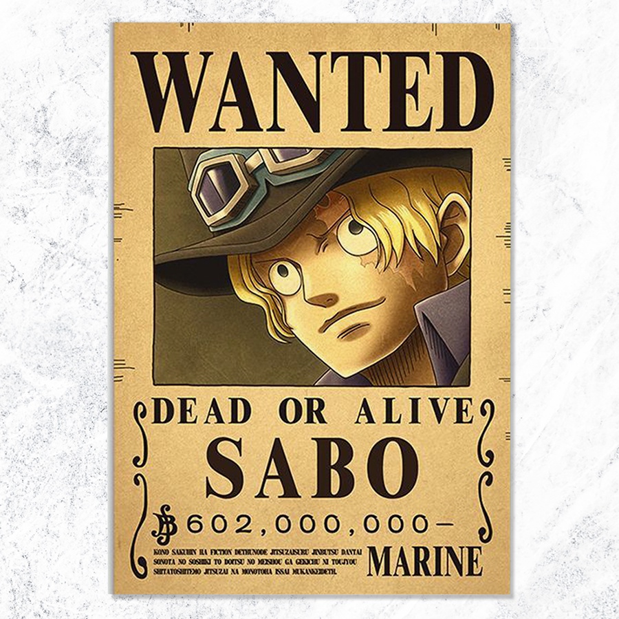 New Edition One Piece Poster SABO One Piece Wanted Posters 28.5x42cm(A3 ...