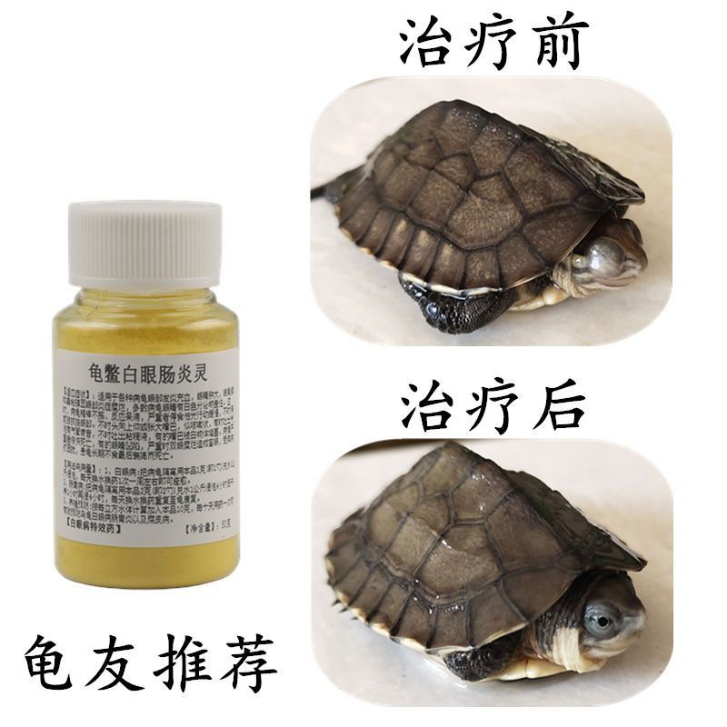 Small turtle medicine white eye disease rotten skin rot armo Small ...