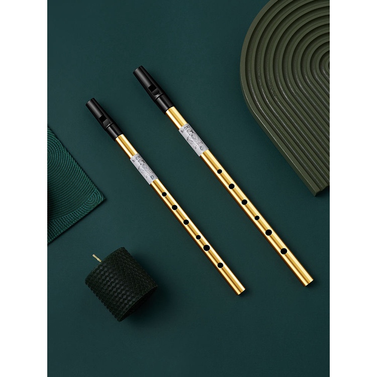 American Brand NAOMI NAOMI Irish Whistle Beginner Entry Model SixHole