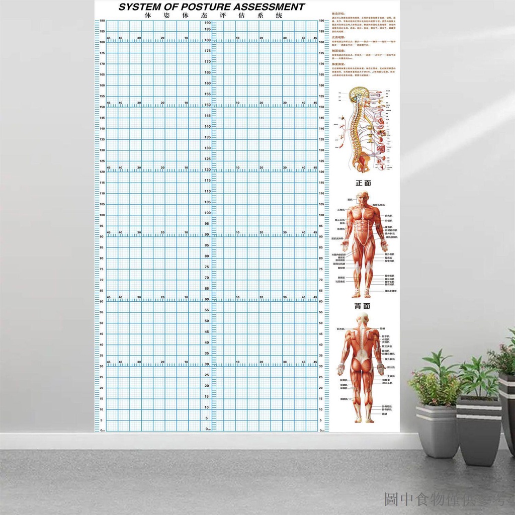 Hot Posture Evaluation Sheet Gym Posture Measurement Grid Yoga Private ...