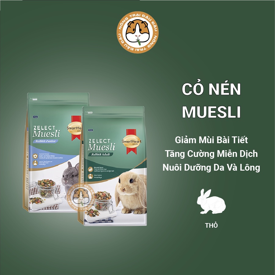 Compressed Grass for Rabbits Muesli Thailand Increases Immunity ...