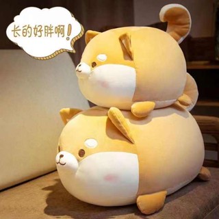 plushie miniso kids toys for girls plushie stuffed toy Cute Chai Dog ...