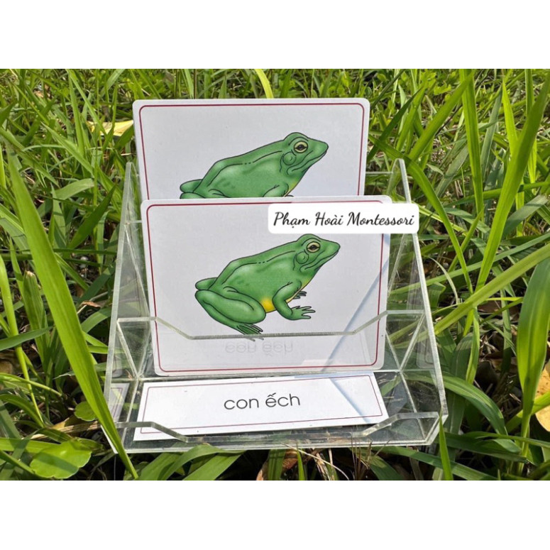 3-part frog-shaped card, 3-part montessori card, montessori teaching ...