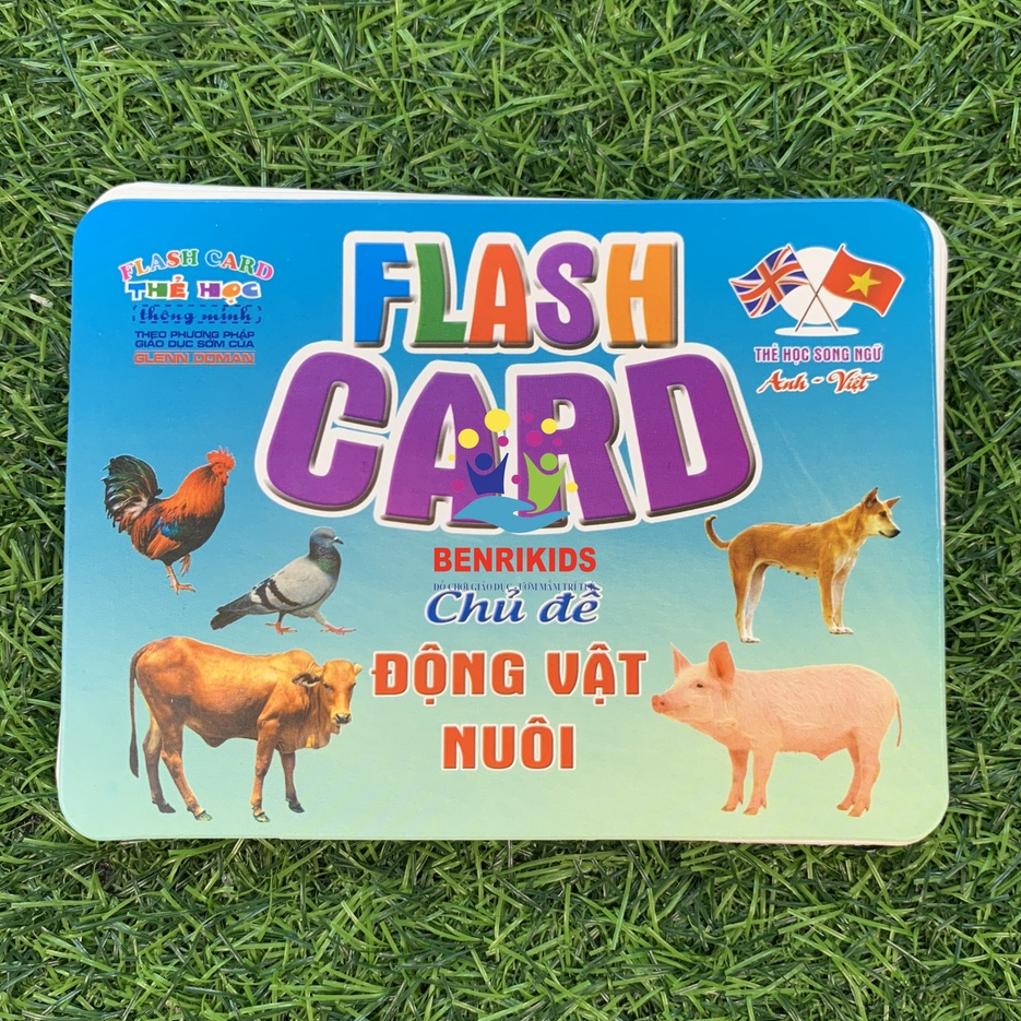 English-vietnamese Bilingual Flashcard Set with Pet Animal Theme ...
