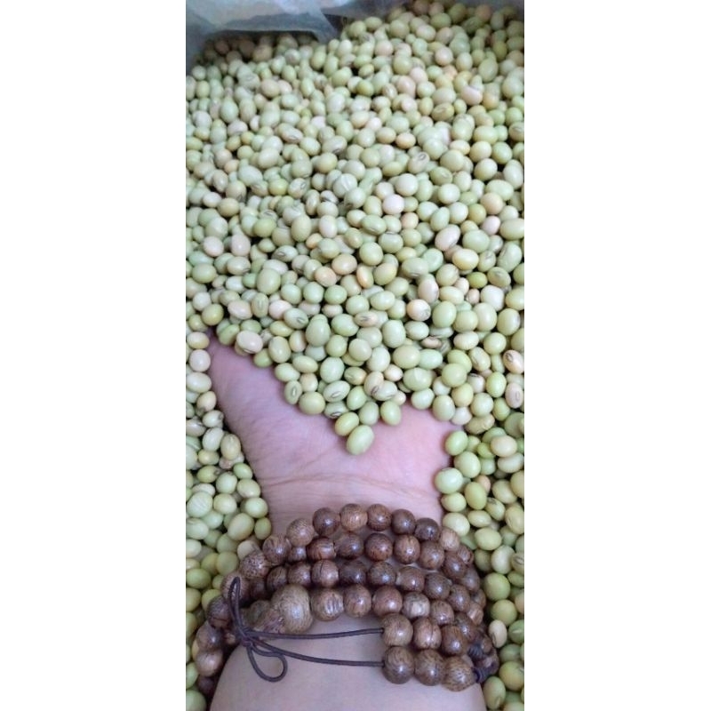 1kg Purebred Old Soybeans, NonGMO, Naturally Grown Organic