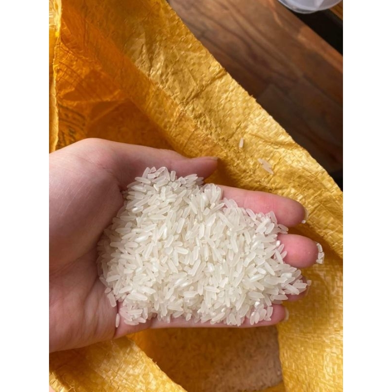 10kg Of Dien Bien Eight-Fragrant Rice | Shopee Philippines