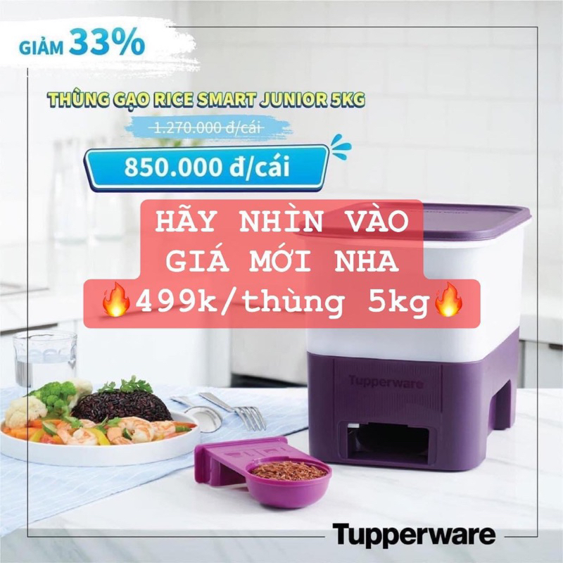 Tupperware VIETNAM 5kg RICE BOX | Shopee Philippines