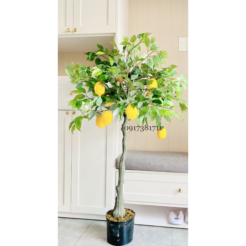 American Lemon Tree 1m3 High, Decorative Fake Tree Shopee Philippines