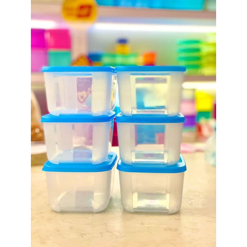 Set of 6 Tupperware freezer boxes 650ml | Shopee Philippines