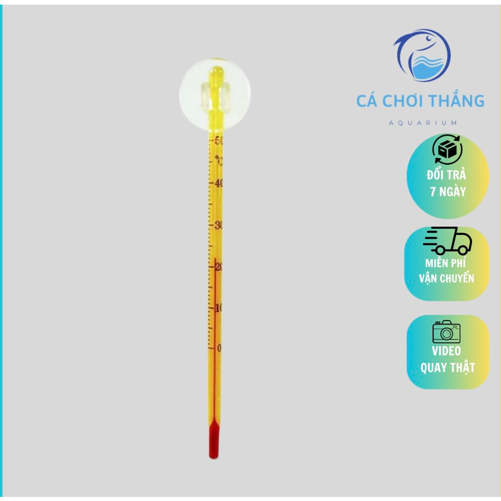 Mercury Thermometer Mounted On The Wall Of The Tank Measure The
