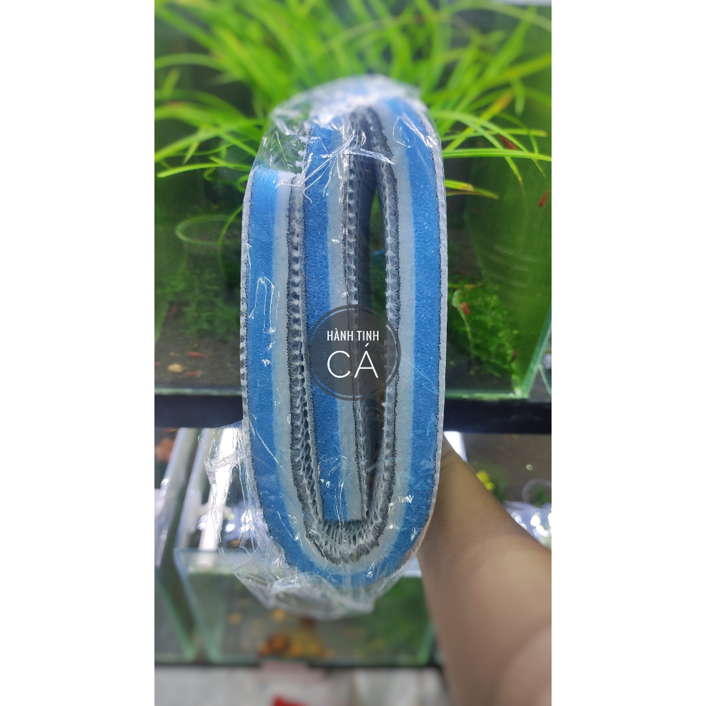 8d Filter Cotton New Generation Filter Cotton For Aquariums Shopee