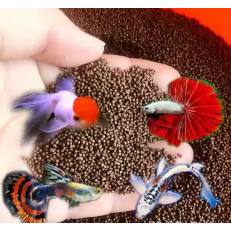 Package Of 1KG High Protein Fish Feed (40 Protein) 7 Colors, Copy, KOI