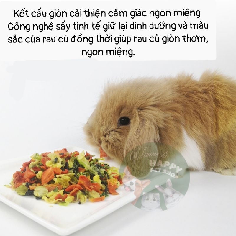 Cold-dried Vegetables For Rabbits, Bugs, chin... (100g) | Shopee ...