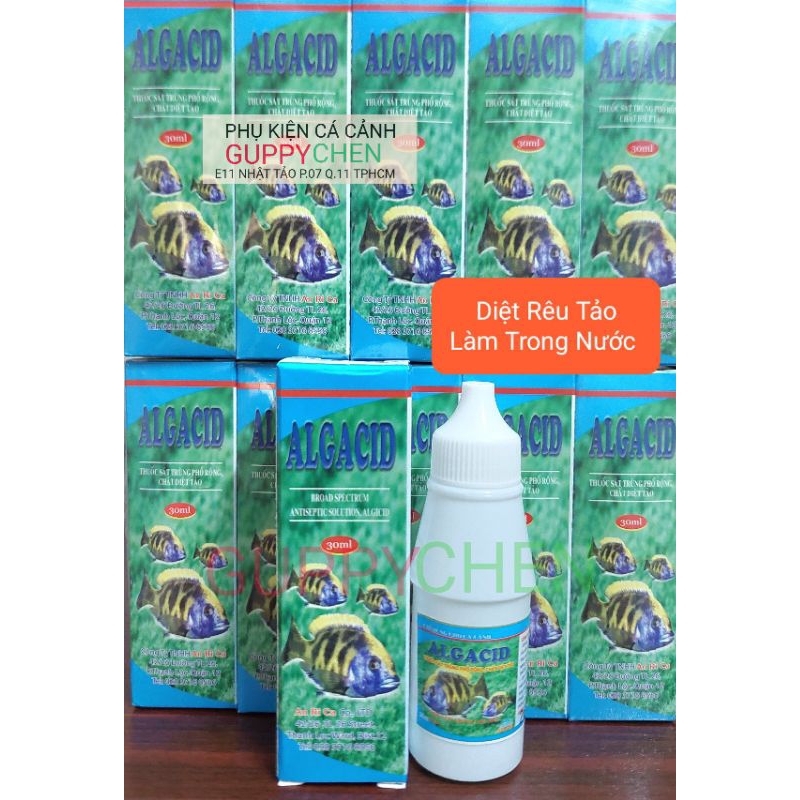 Algacid Algae Moss Killing Solution ALGACID 30ml Shopee Philippines