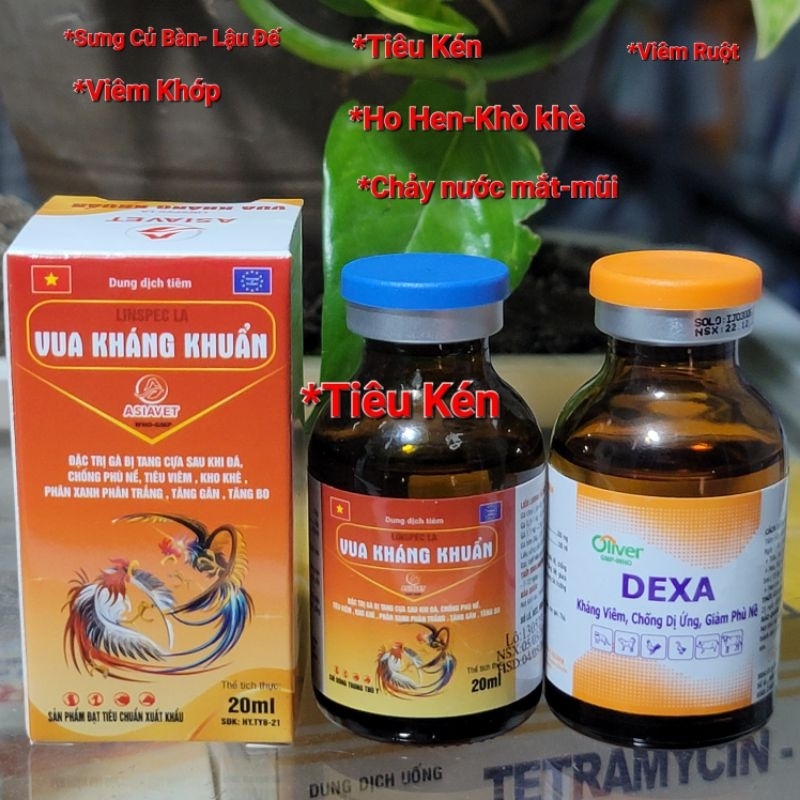 Combo 2 Bottles Specializing In Swelling Of Table Tubers, Gonorrhea