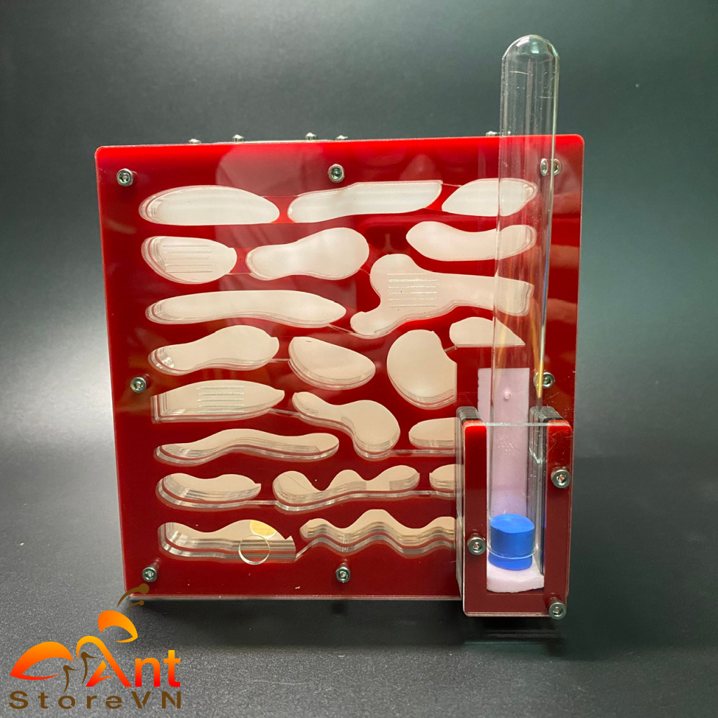 Ant Tank Mica Tank Ant Raising Ant Cage Ant Farming Nest | Shopee ...
